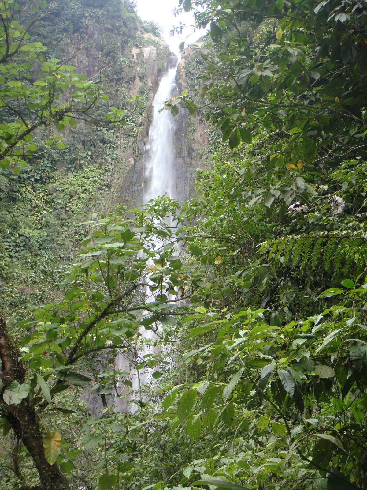 Guadeloupe