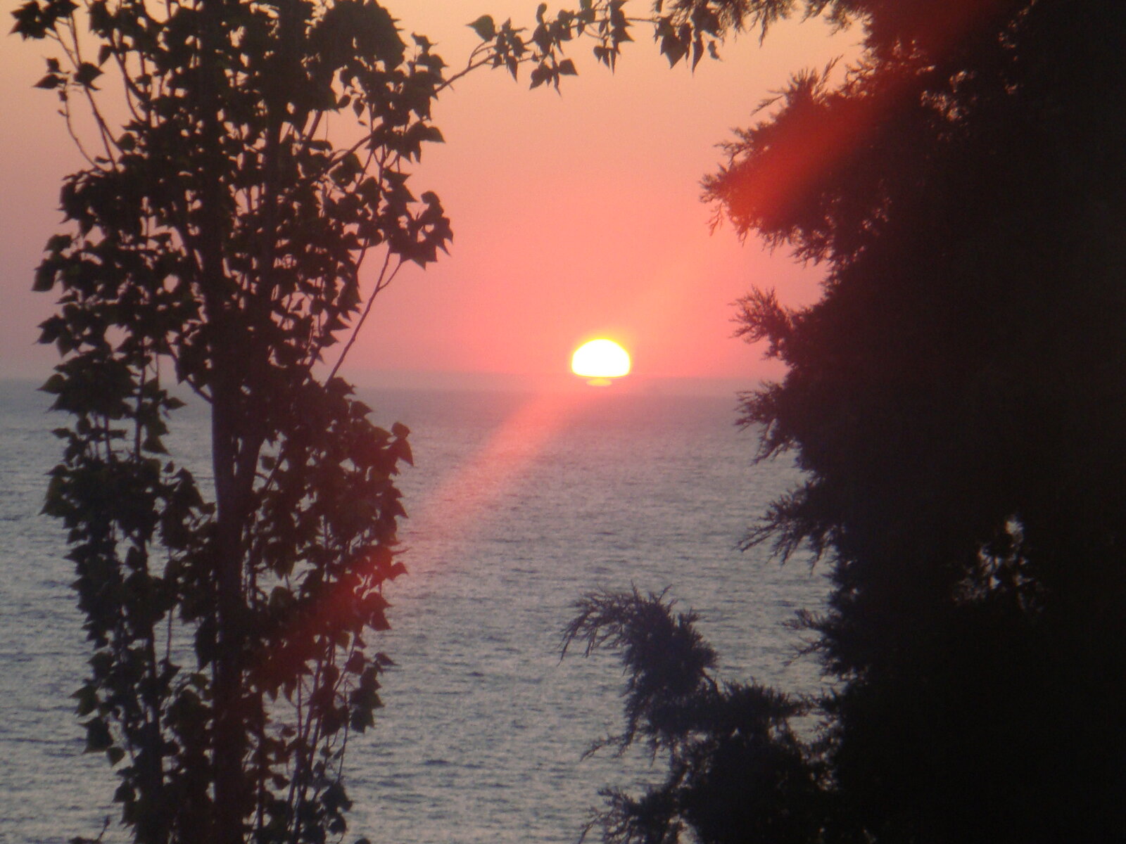 Turquie